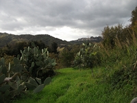 cantara gurne23122011 137